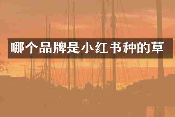 哪个品牌是小红书种的草