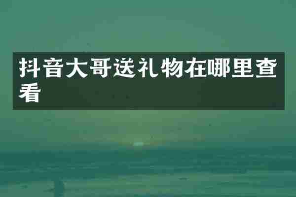 抖音大哥送礼物在哪里查看