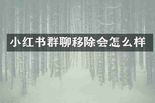 小红书群聊移除会怎么样