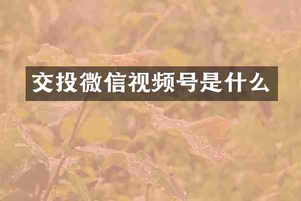 交投微信视频号是什么