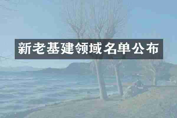 新老基建领域名单公布
