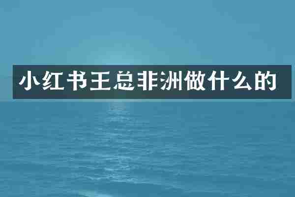 小红书王总非洲做什么的