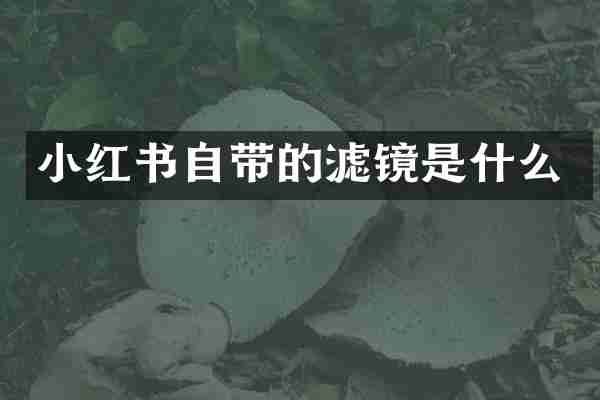 小红书自带的滤镜是什么