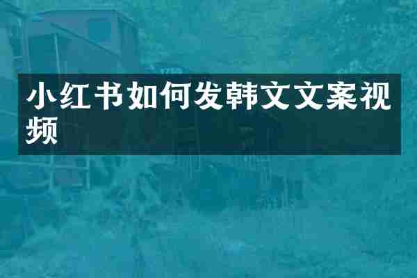 小红书如何发韩文文案视频