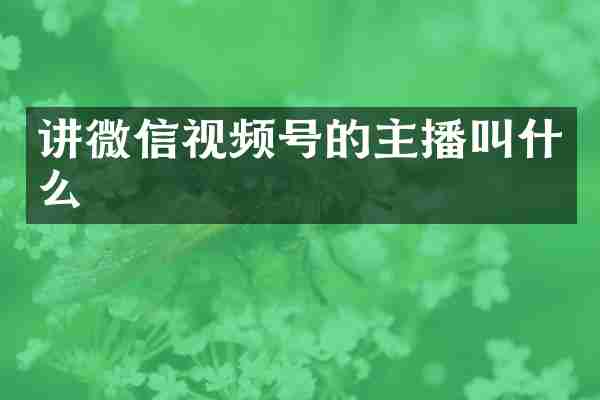 讲微信视频号的主播叫什么