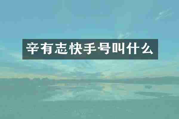 辛有志快手号叫什么