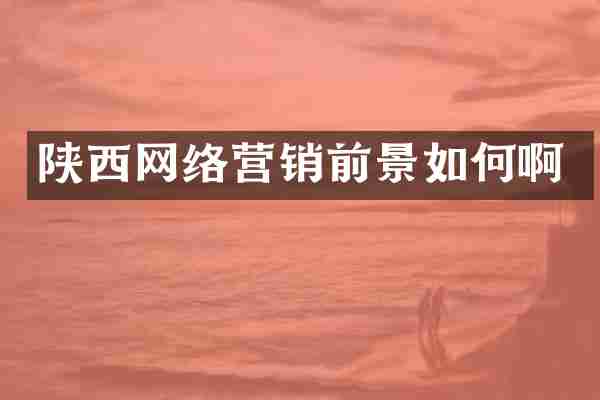 陕西网络营销前景如何啊