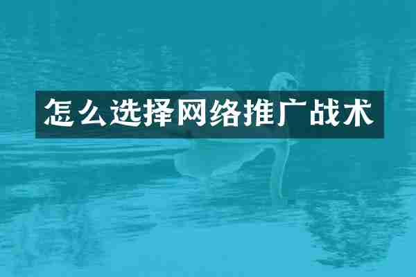 怎么选择网络推广战术