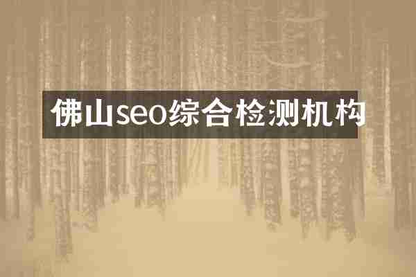 佛山seo综合检测机构