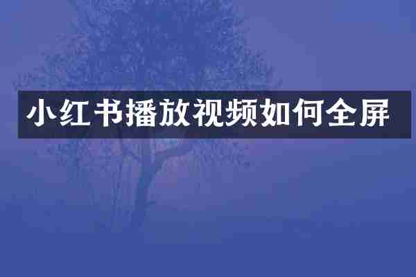 小红书播放视频如何全屏