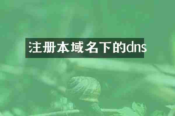 注册本域名下的dns