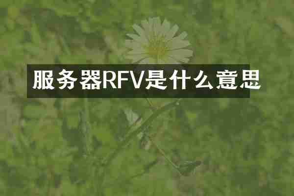 服务器RFV是什么意思
