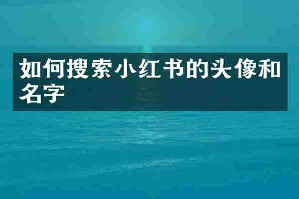 如何搜索小红书的头像和名字