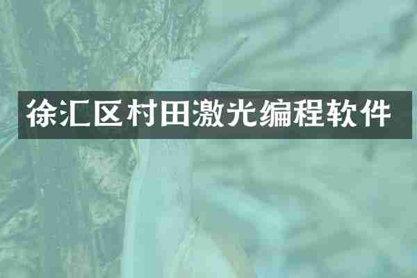 徐汇区村田激光编程软件