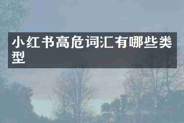 小红书高危词汇有哪些类型