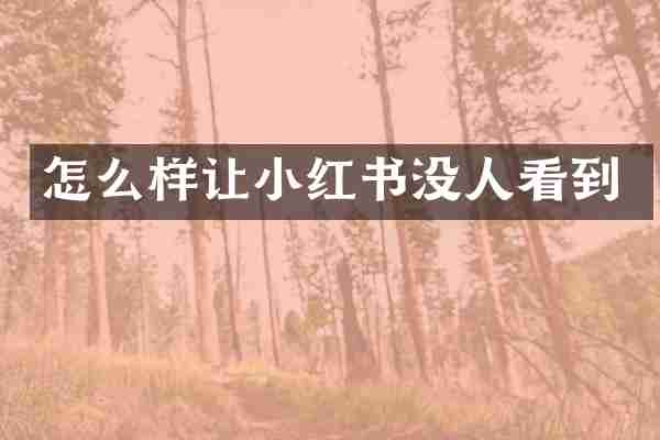 怎么样让小红书没人看到