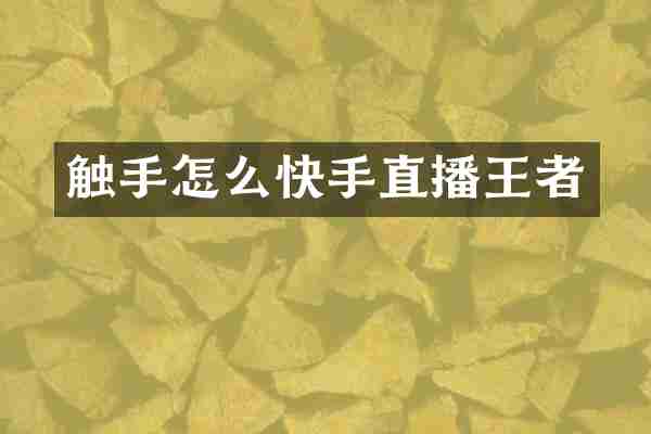 触手怎么快手直播王者