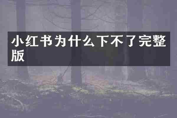 小红书为什么下不了完整版