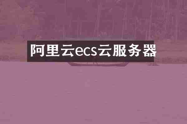 阿里云ecs云服务器