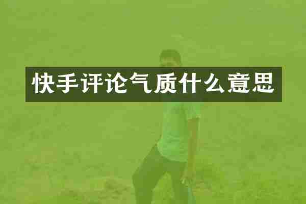 快手评论气质什么意思