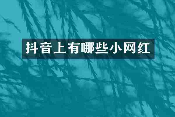 抖音上有哪些小网红