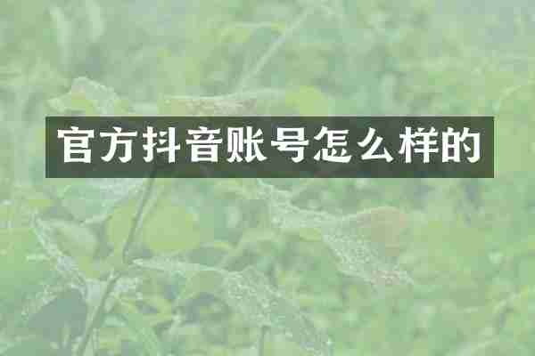 官方抖音账号怎么样的