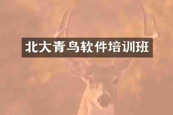 北大青鸟软件培训班