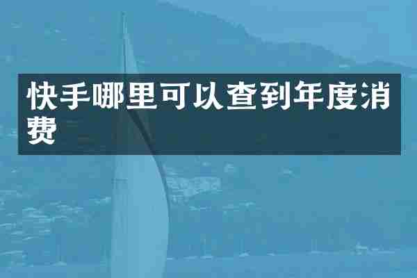 快手哪里可以查到年度消费