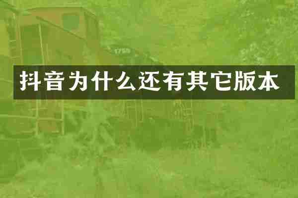 抖音为什么还有其它版本