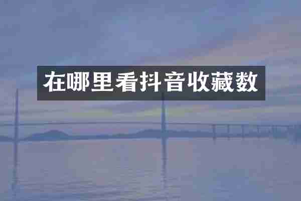 在哪里看抖音收藏数