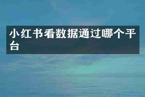 小红书看数据通过哪个平台