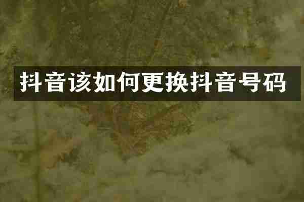 抖音该如何更换抖音号码