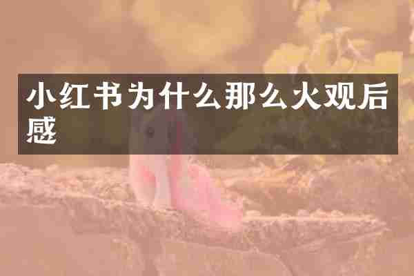 小红书为什么那么火观后感
