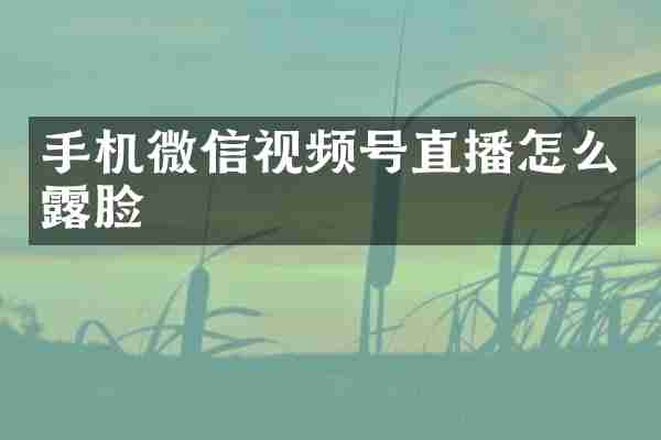 手机微信视频号直播怎么露脸