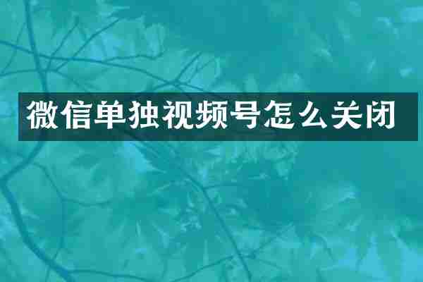 微信单独视频号怎么关闭