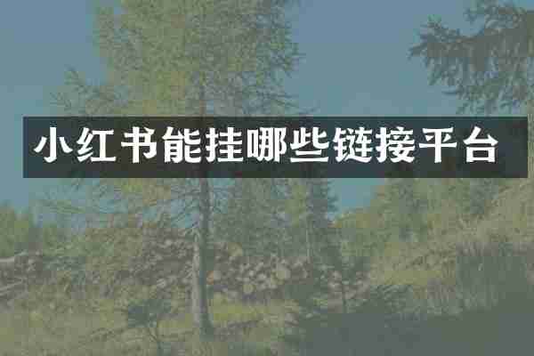 小红书能挂哪些链接平台