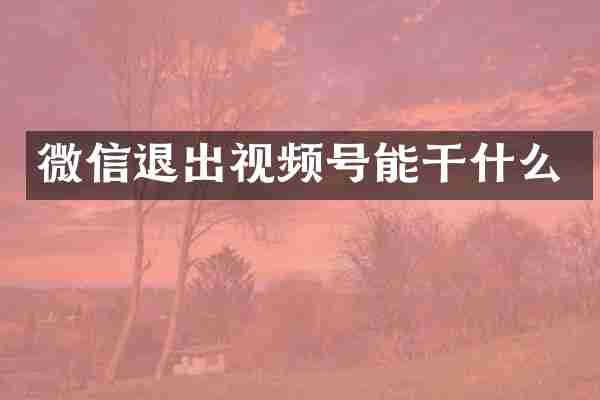 微信退出视频号能干什么