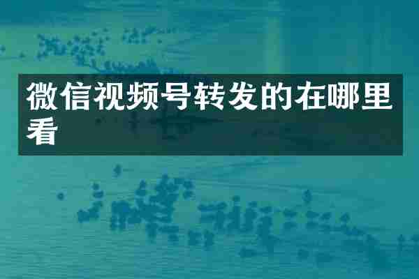微信视频号转发的在哪里看