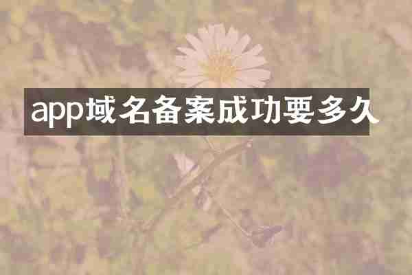 app域名备案成功要多久