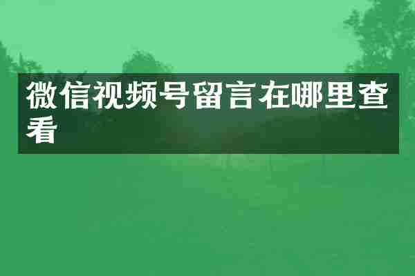 微信视频号留言在哪里查看