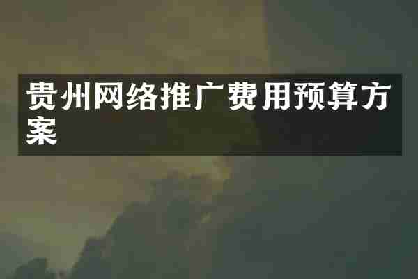贵州网络推广费用预算方案