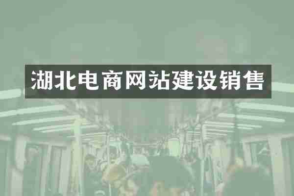 湖北电商网站建设销售