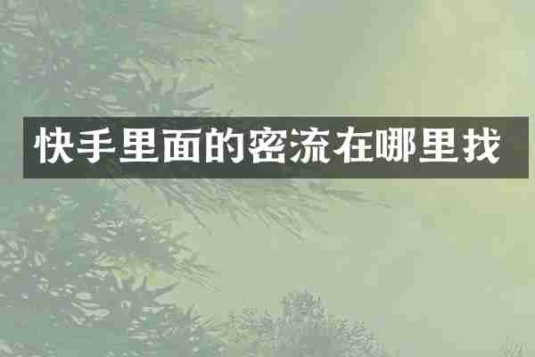 快手里面的密流在哪里找