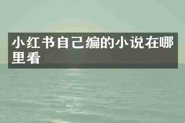 小红书自己编的小说在哪里看