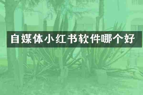 自媒体小红书软件哪个好