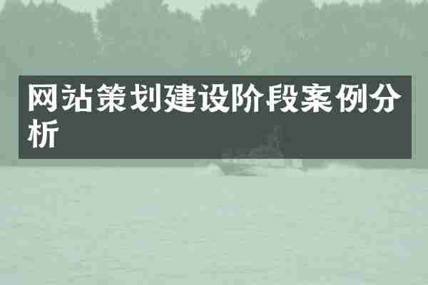 网站策划建设阶段案例分析