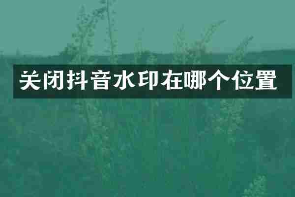 关闭抖音水印在哪个位置
