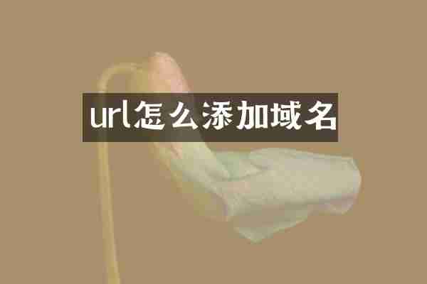 url怎么添加域名