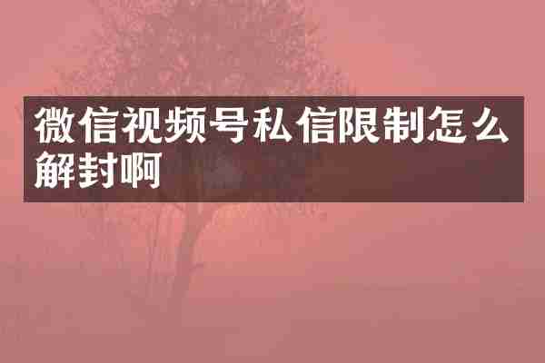 微信视频号私信限制怎么解封啊