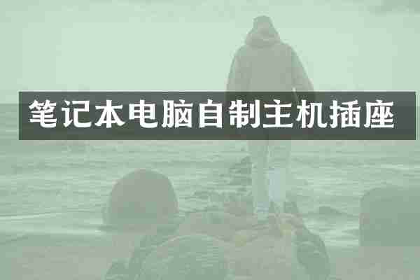 笔记本电脑自制主机插座